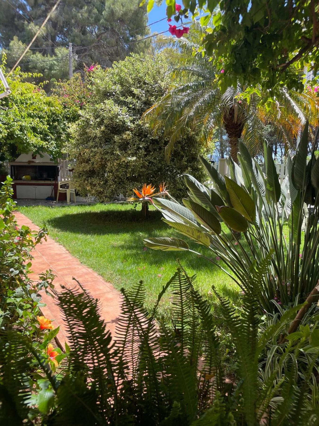 Buganvillas Studios Preveza Eksteriør bilde